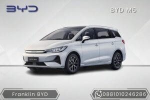 BYD M6