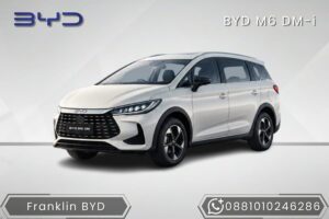 BYD M6 DM-i