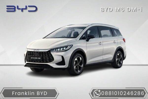 BYD M6 DM-i