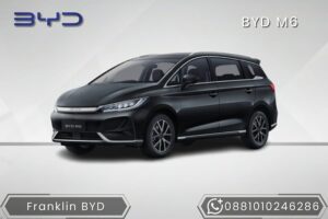 BYD M6