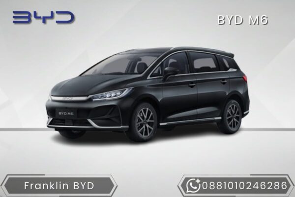 BYD M6